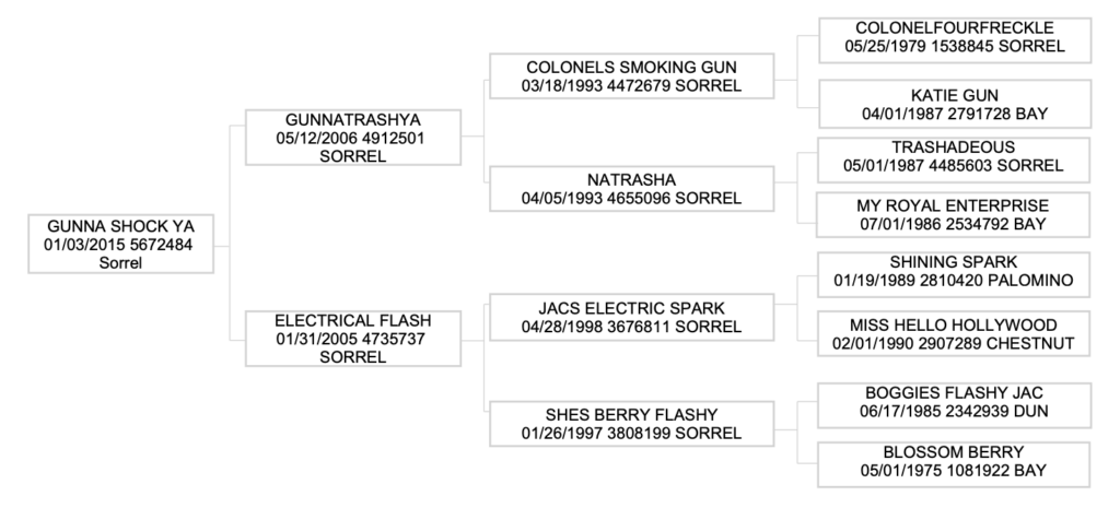 Three-generation pedigree chart for sorrel horse Gunna Shock Ya, listing sires, dams, foaling dates, registration numbers and colors