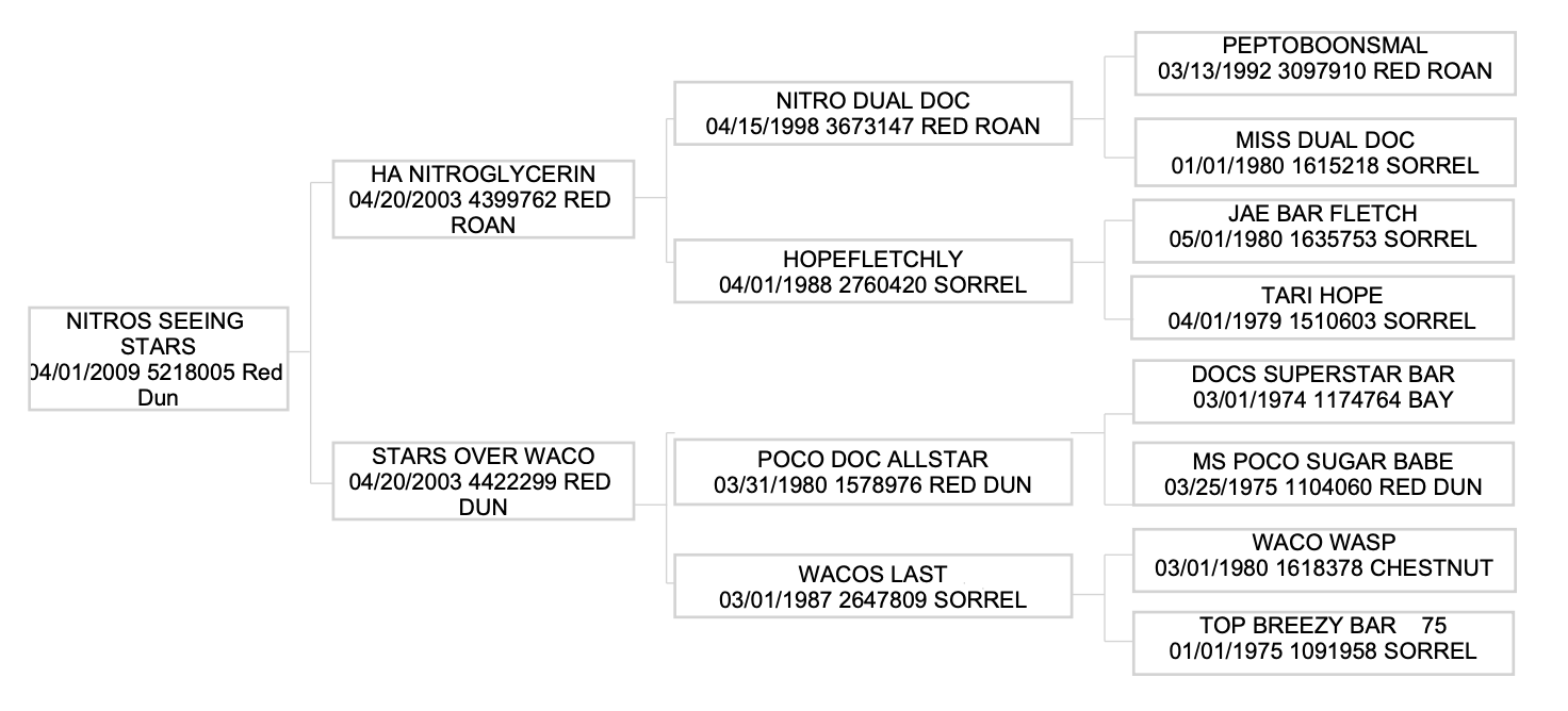 Three-generation pedigree chart for Nitros Seeing Stars, a 2009 red dun, listing sires, dams, registration numbers and colors