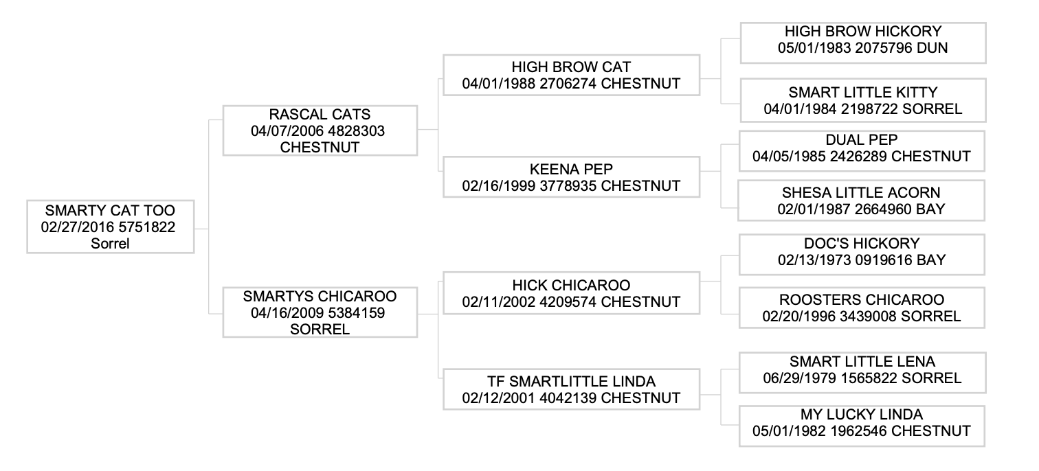 Three-generation pedigree chart for Smarty Cat Too, a 2016 sorrel, tracing sire Rascal Cats and dam Smartys Chicaroo
