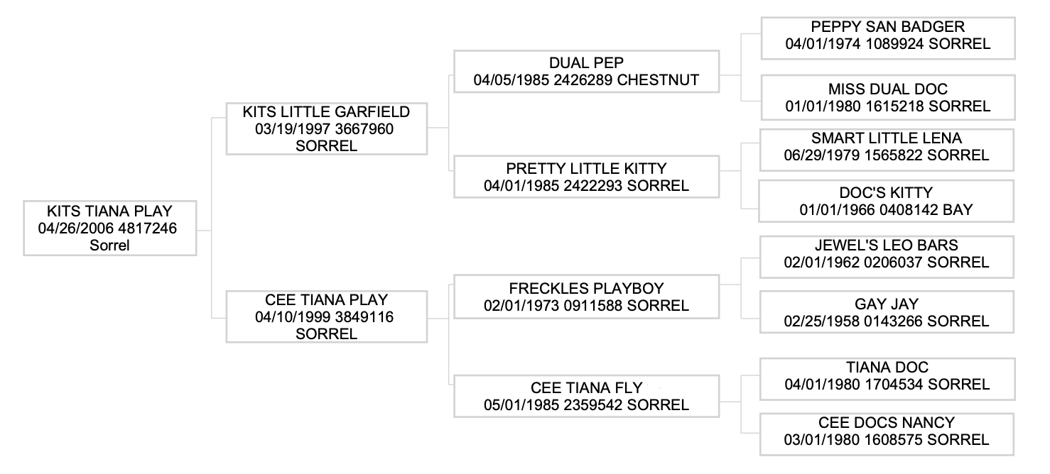 Three-generation pedigree chart for sorrel mare Kits Tiana Play, tracing sires and dams including Dual Pep and Freckles Playboy