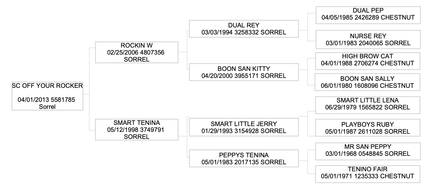 Three-generation pedigree chart for the 2013 sorrel SC Off Your Rocker, tracing sires and dams back to cutting bloodlines