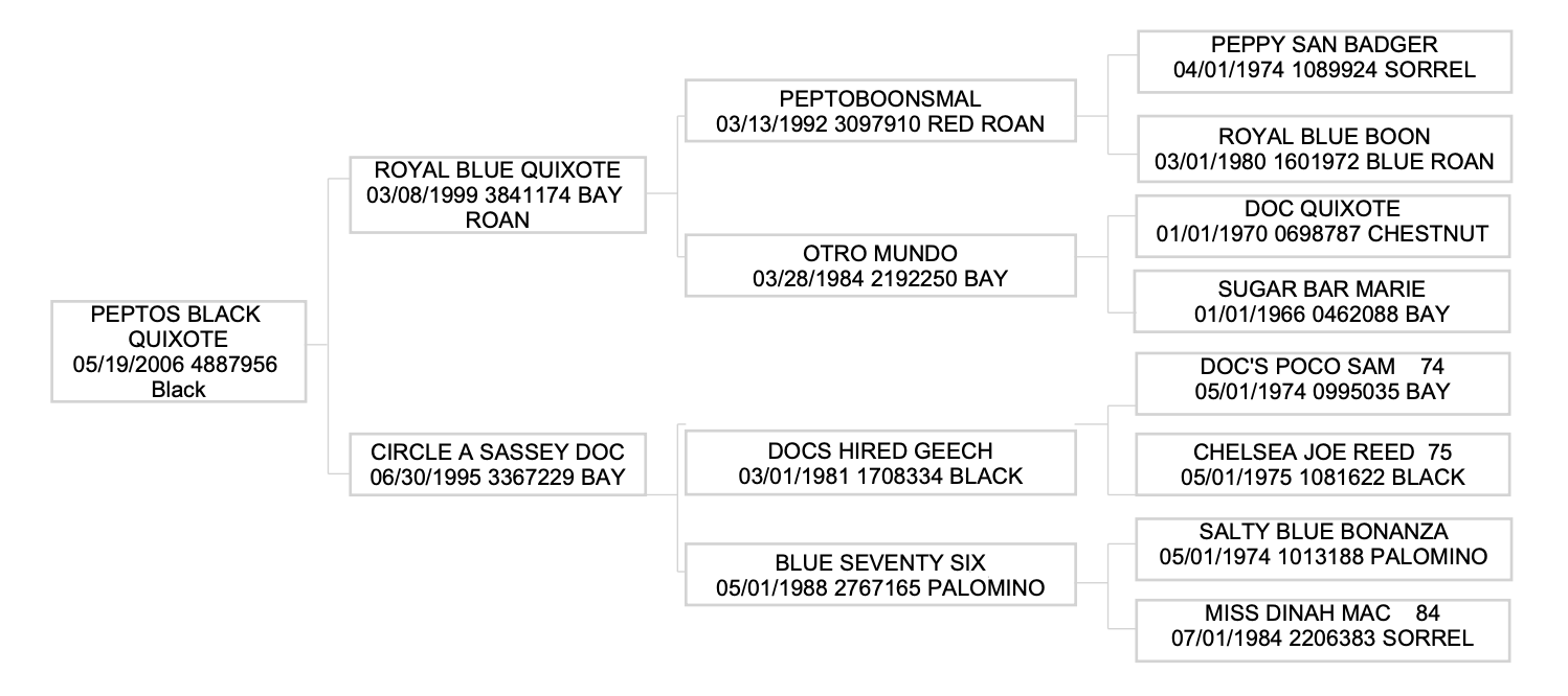 Three-generation pedigree chart for the 2006 black stallion Peptos Black Quixote, tracing sires and dams back to Peppy San Badger