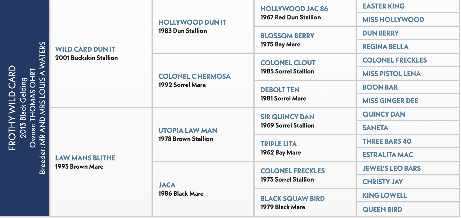 Five-generation pedigree chart for Frothy Wild Card, a 2013 black gelding, listing sires and dams by name, year and color