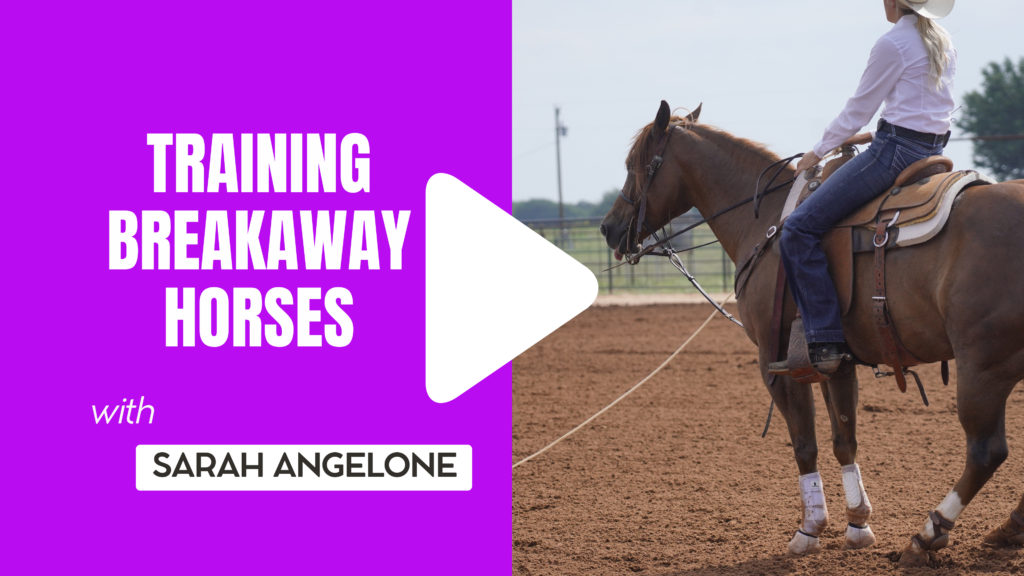 Video thumbnail titled "Training Breakaway Horses with Sarah Angelone" beside a rider on a sorrel horse holding a rope in an arena
