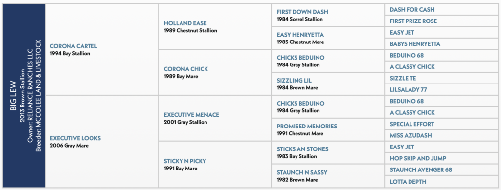 Five-generation pedigree chart for Big Lew, a 2013 brown stallion, tracing sires and dams back to Dash For Cash and Easy Jet