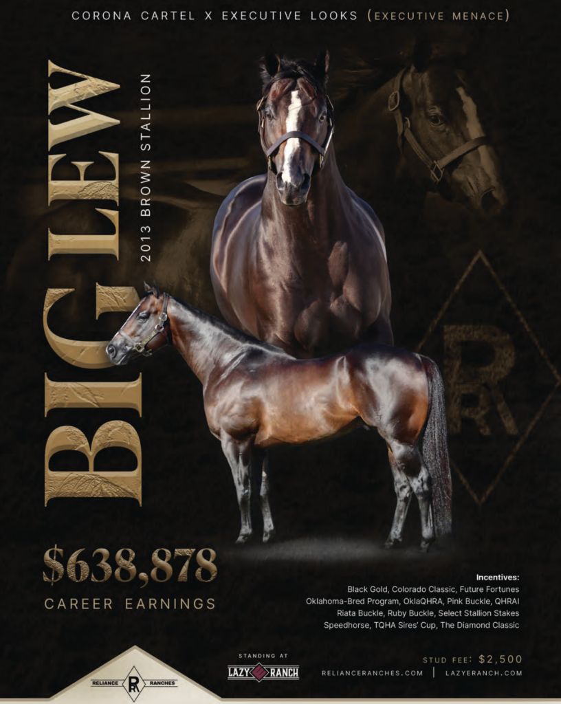 Big Lick, 2013 brown stallion, standing in profile with $638,878 career earnings, available at Lazy E Ranch with $2,500 stud fee
