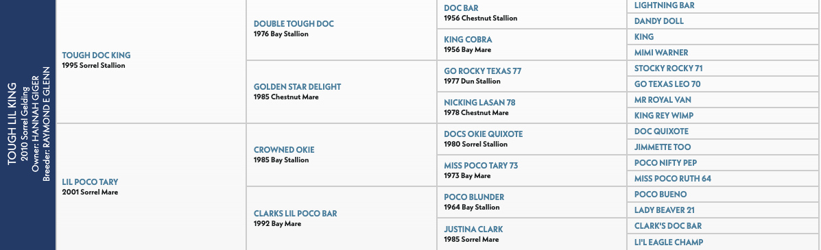 Five-generation pedigree chart for Tough Lil King, a 2010 sorrel gelding, listing sires and dams including Tough Doc King and Lil Poco Tary