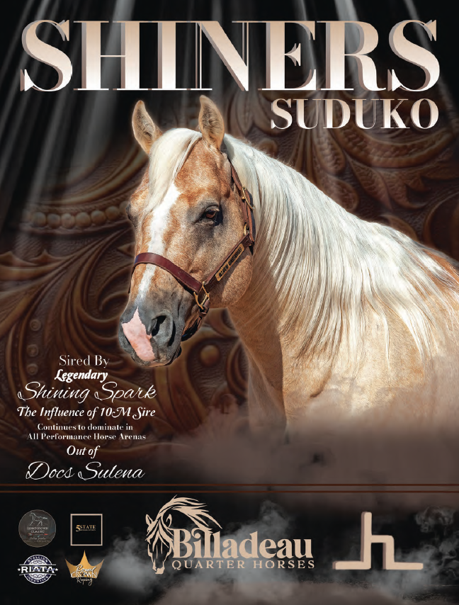 Promotional flyer for Shiners Suduko stallion sired by Shining Spark, standing at Balladeau Quarter Horses