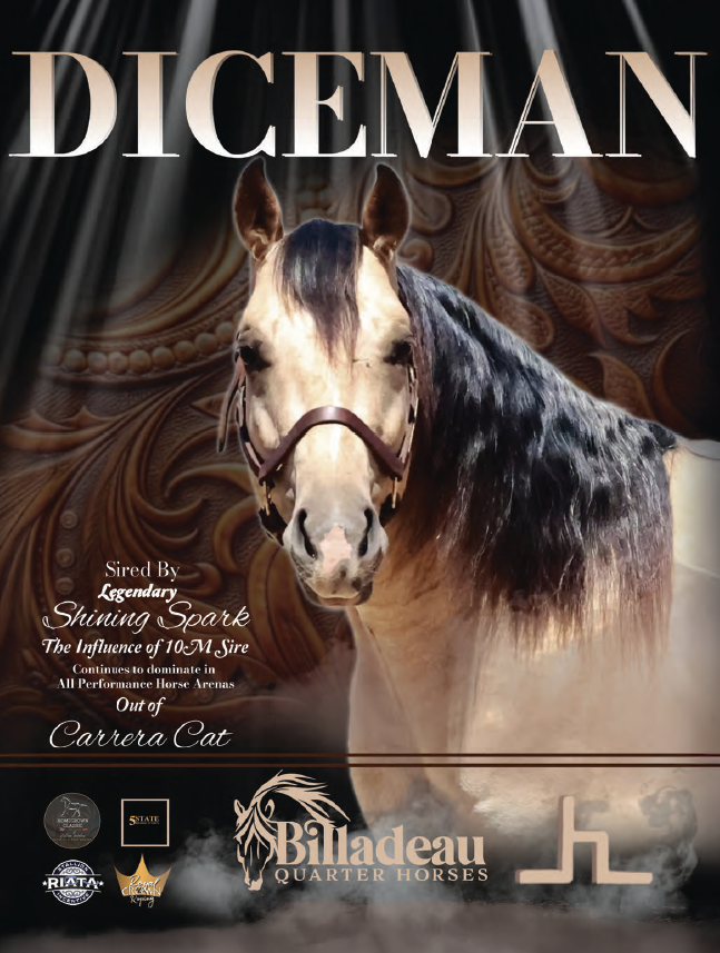 Diceman stallion advertisement for Billadeau Quarter Horses, featuring a black and white horse in a halter against an ornate backdrop