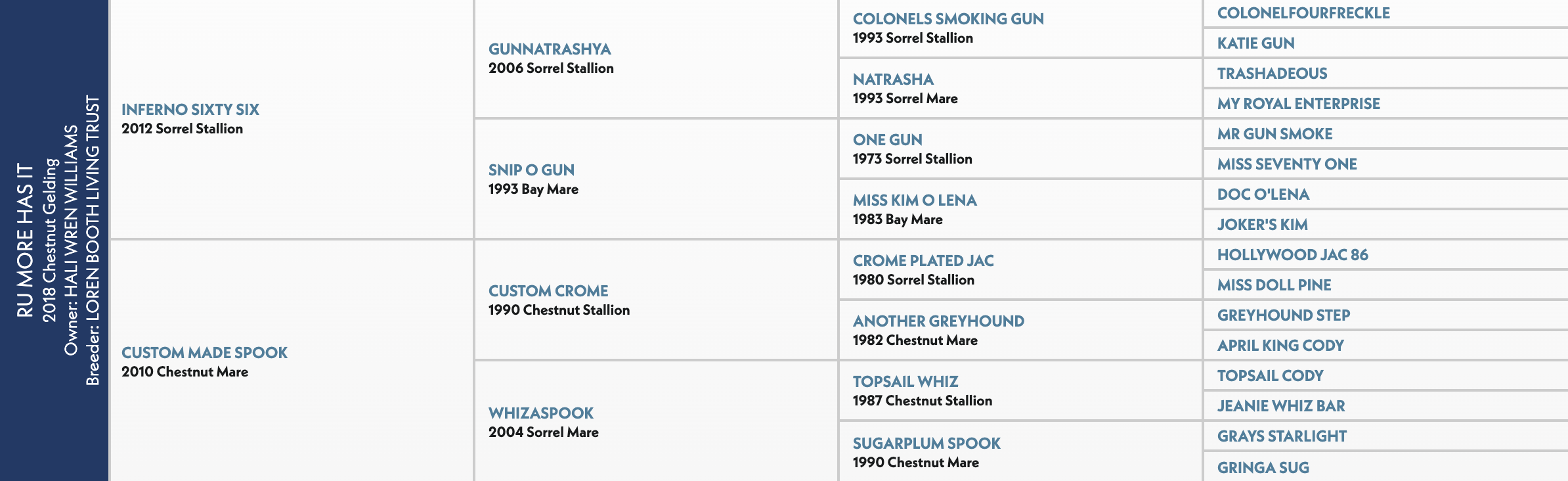 Five-generation pedigree chart for Ru More Has It, a 2018 chestnut gelding sired by Inferno Sixty Six out of Custom Made Spook