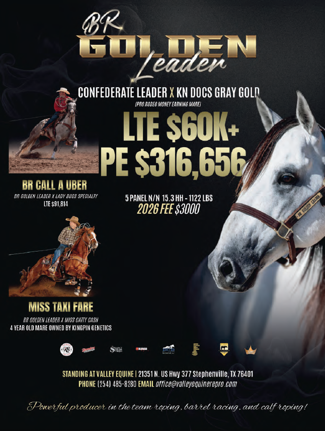 Stallion breeding ad for BR Golden Leader featuring a gray horse headshot plus inset barrel racing and calf roping photos