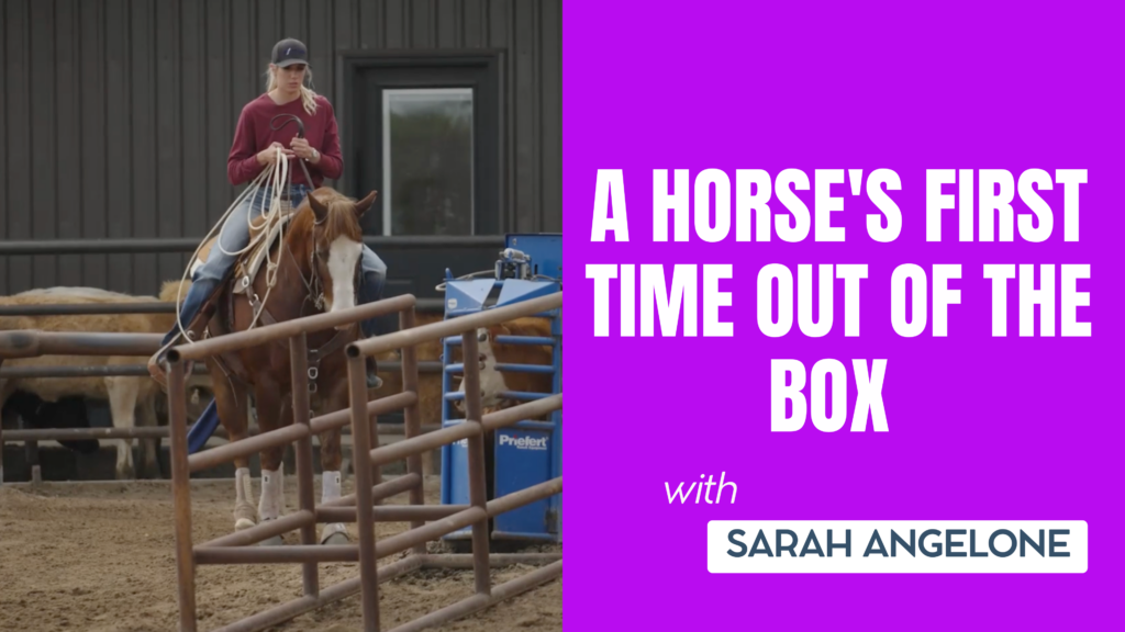 Video thumbnail titled "A Horse's First Time Out of the Box with Sarah Angelone" showing a roper coiling her rope on a sorrel horse in the roping box beside cattle