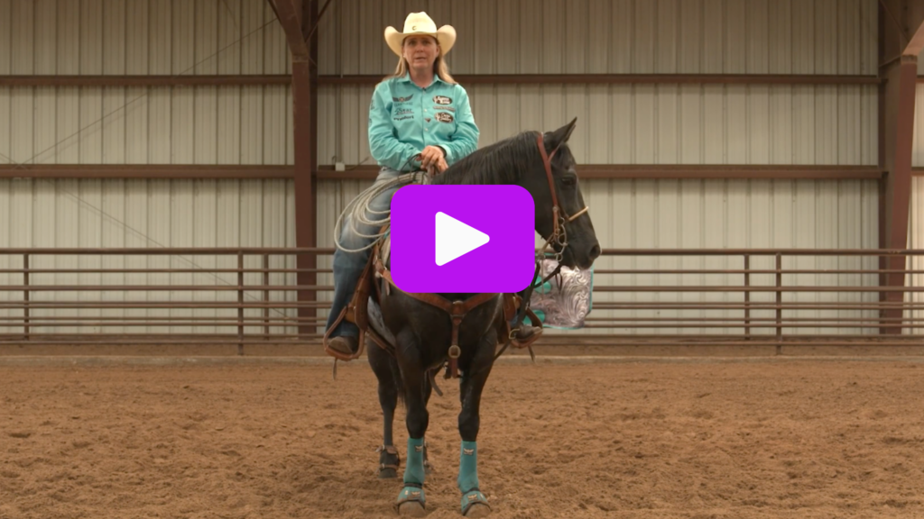 Rider in a white cowboy hat and turquoise shirt sits astride a dark horse with turquoise splint boots in an indoor arena