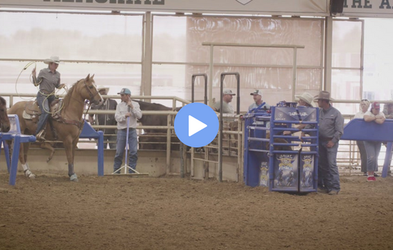 breakway roping practice runs