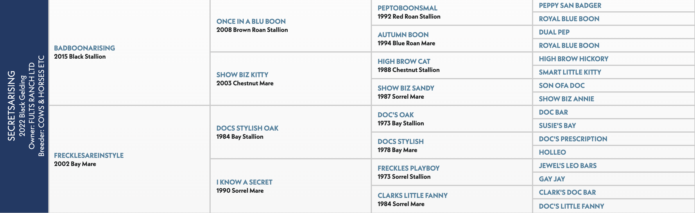Five-generation pedigree chart for Secretsarising, a 2022 black gelding by Badboonarising out of Frecklesareinstyle