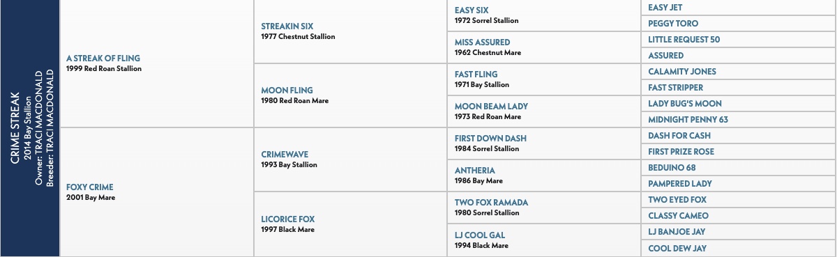 Five-generation pedigree chart for Crime Streak, a 2014 bay stallion by A Streak of Fling out of Foxy Crime