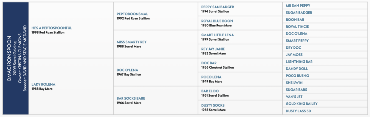 Five-generation pedigree chart for DMac Iron Spoon, a 2009 sorrel gelding by Hes A Peptospoonful out of Lady Rolena