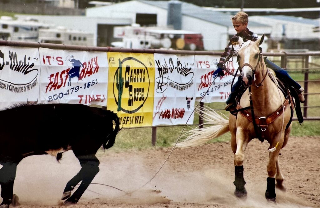 Young roper on a palomino horse holds his rope taut on a black steer in a dusty arena lined with sponsor banners