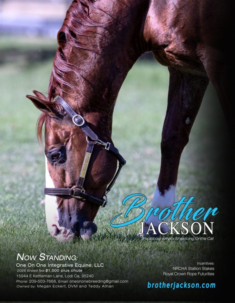 Chestnut stallion grazing in green pasture on a breeding ad for Brother Jackson standing at One On One Integrative Equine