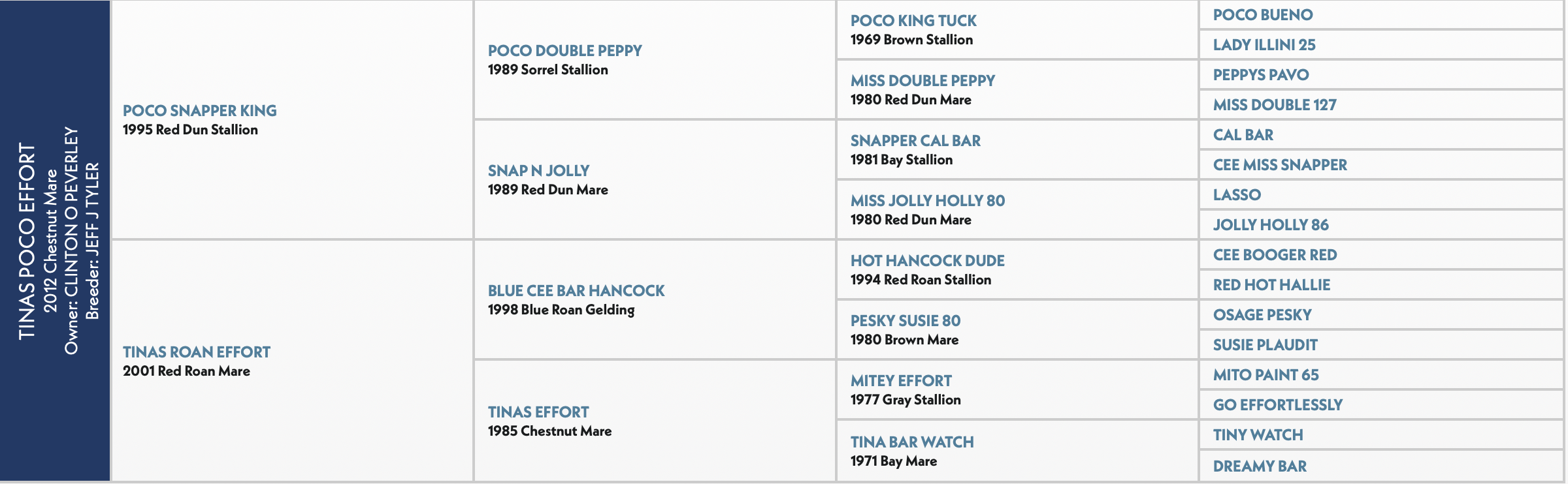 Tinas Poco Effort pedigree chart showing bloodline ancestors including Poco Snapper King, Tinas Roan Effort, and multiple generations of Quarter Horse sires and mares