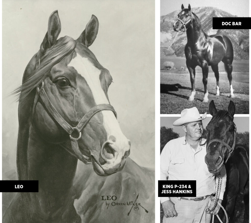Built for the Job: The Blueprint of the Modern Western  Performance Horse