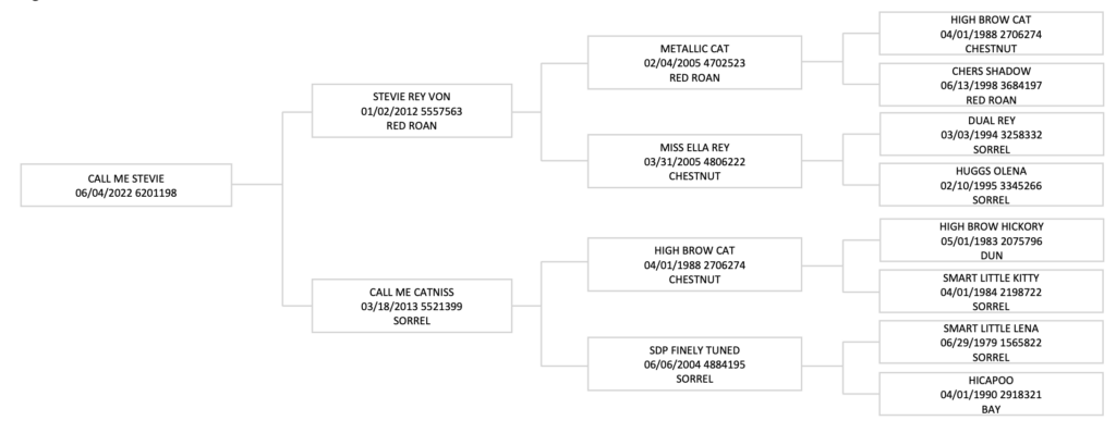 Three-generation pedigree chart for Call Me Stevie, tracing sires and dams including Stevie Rey Von and High Brow Cat