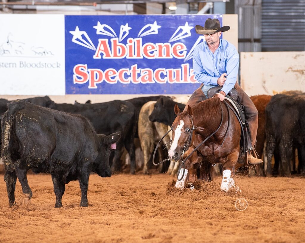 Cutting horse rider in a cowboy hat works a black cow in the arena dirt beneath an Abilene Spectacular banner
