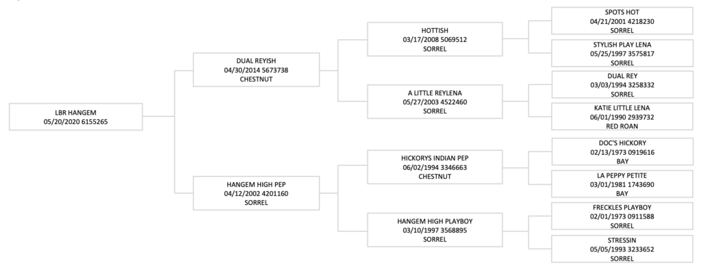 Four-generation pedigree chart for LBR Hangem, tracing sires and dams including Dual Reyish, Hottish and Hangem High Pep