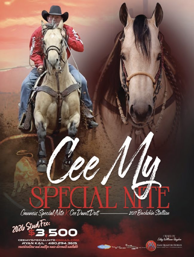 Stallion breeding ad featuring a buckskin Quarter Horse working cattle under saddle and a headshot portrait