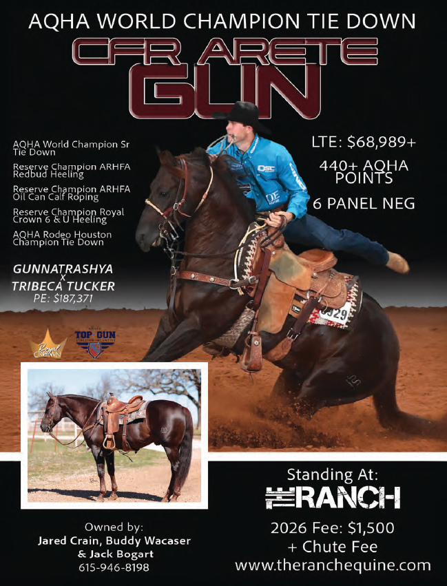 Stallion breeding ad for CFR Arete Gun showing a tie-down roper dismounting a sliding dark bay horse, plus a conformation photo