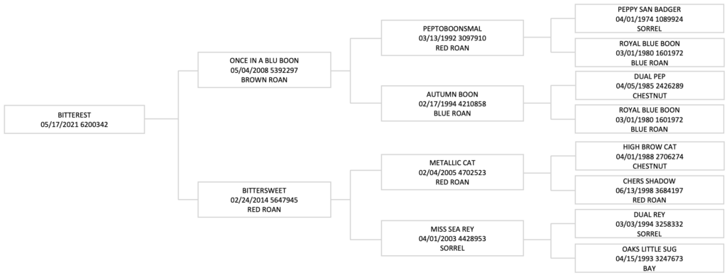 Four-generation pedigree chart for the 2021 red roan Bitterest, tracing sires and dams back to Peppy San Badger and High Brow Cat