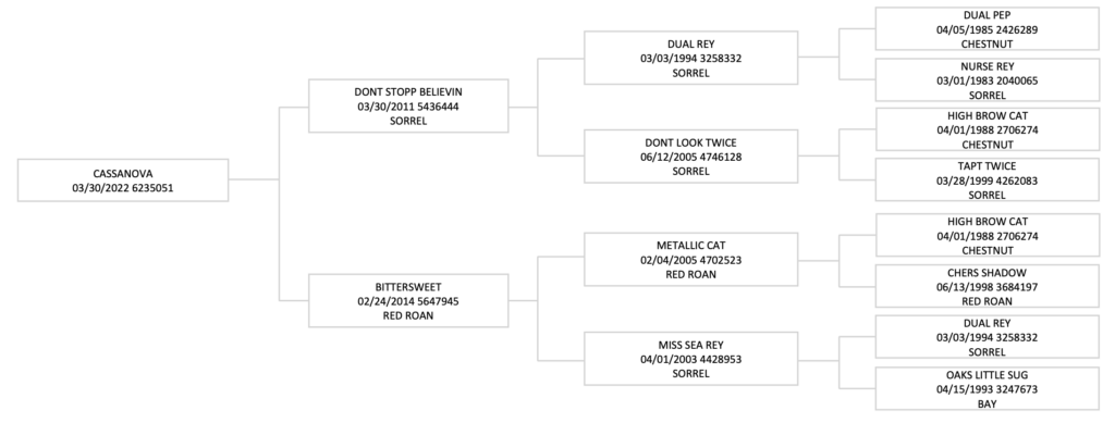 Four-generation pedigree chart for the 2022 sorrel horse Cassanova, tracing sires and dams including Dual Rey and Metallic Cat