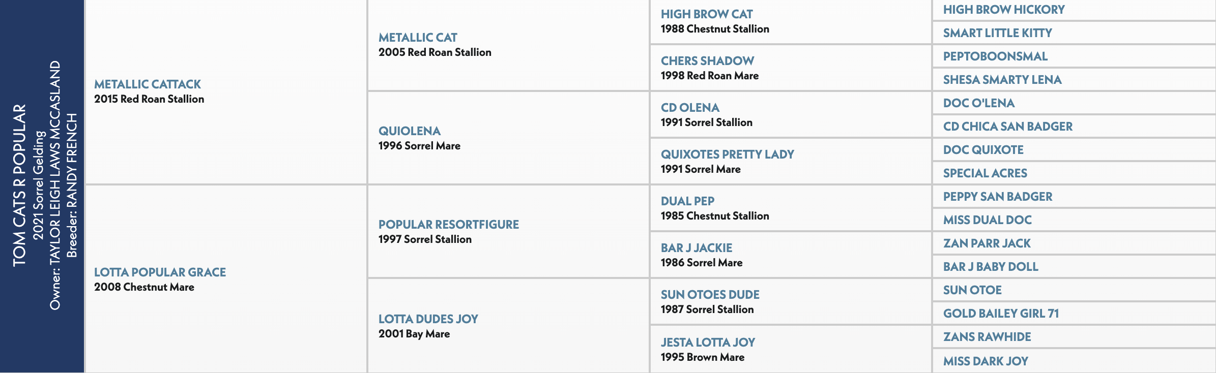Four-generation pedigree chart for Tom Cats R Popular, a 2021 sorrel gelding by Metallic Cattack out of Lotta Popular Grace