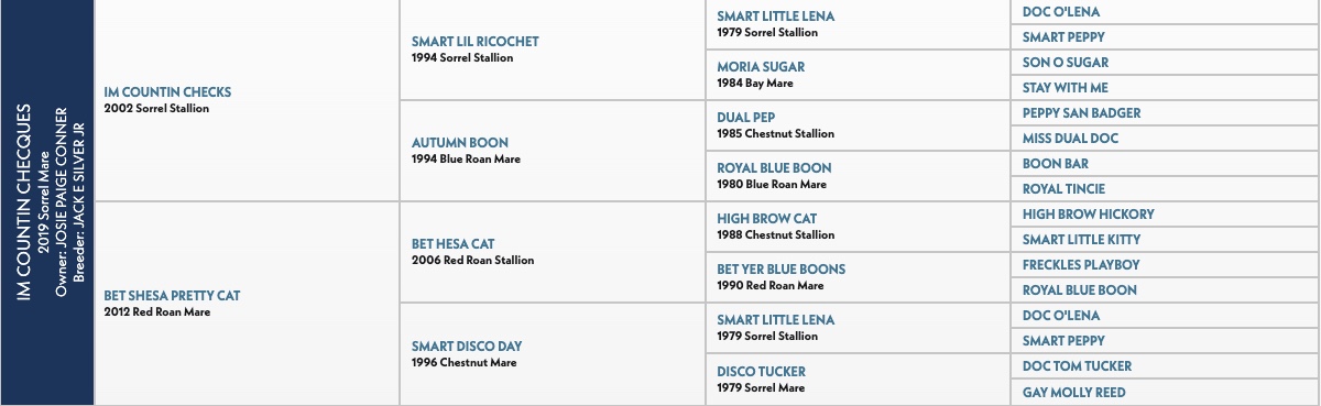 Five-generation pedigree chart for Im Countin Chequees, a 2019 sorrel mare by Im Countin Checks out of Bet Shesa Pretty Cat