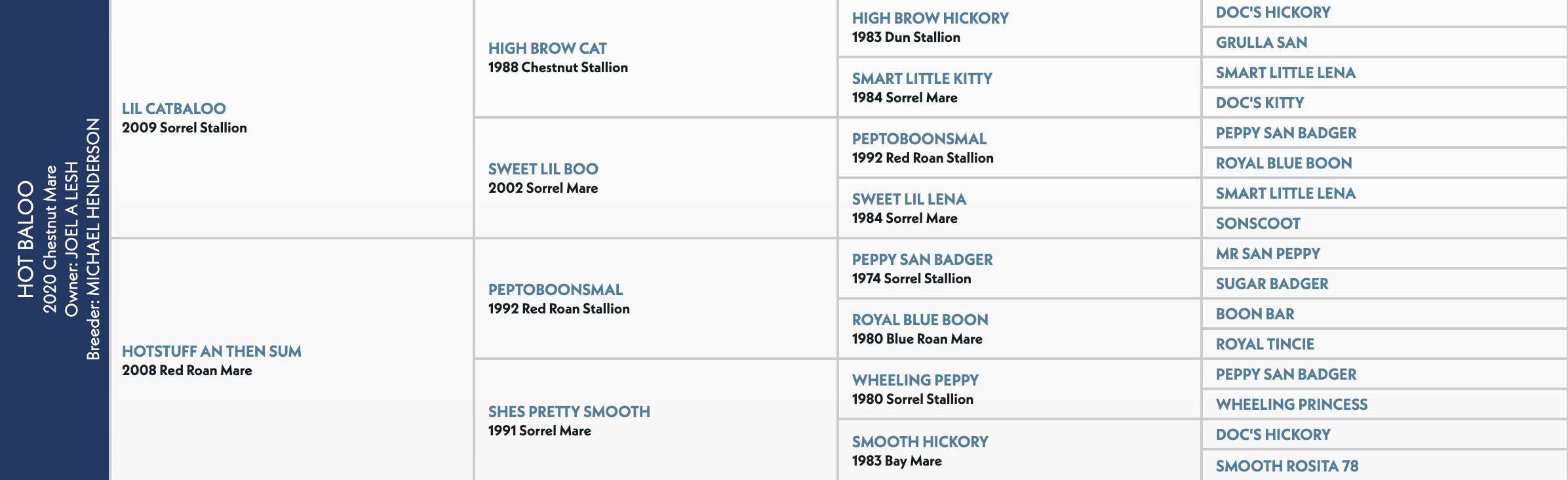 Five-generation pedigree chart for Hot Baloo, a 2020 chestnut mare by Lil Catbaloo out of Hotstuff An Then Sum