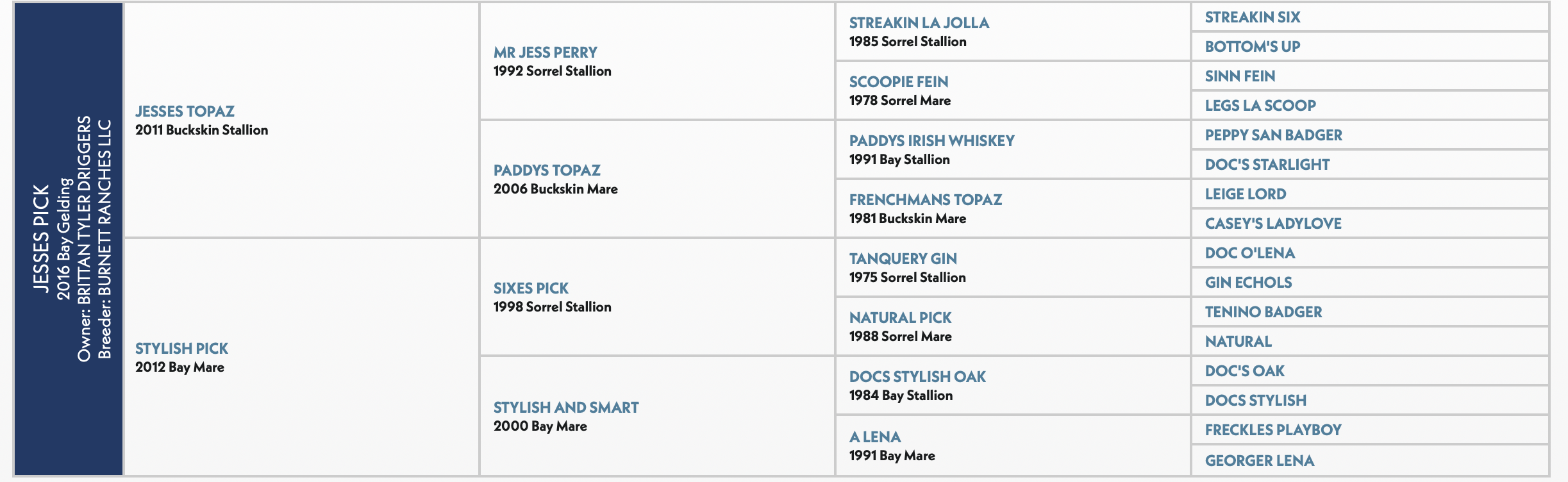 Pedigree chart for Jesse's Buck, a 2016 Bucksksin stallion, showing his ancestry across multiple generations including sires and dams with their birth years and breeds