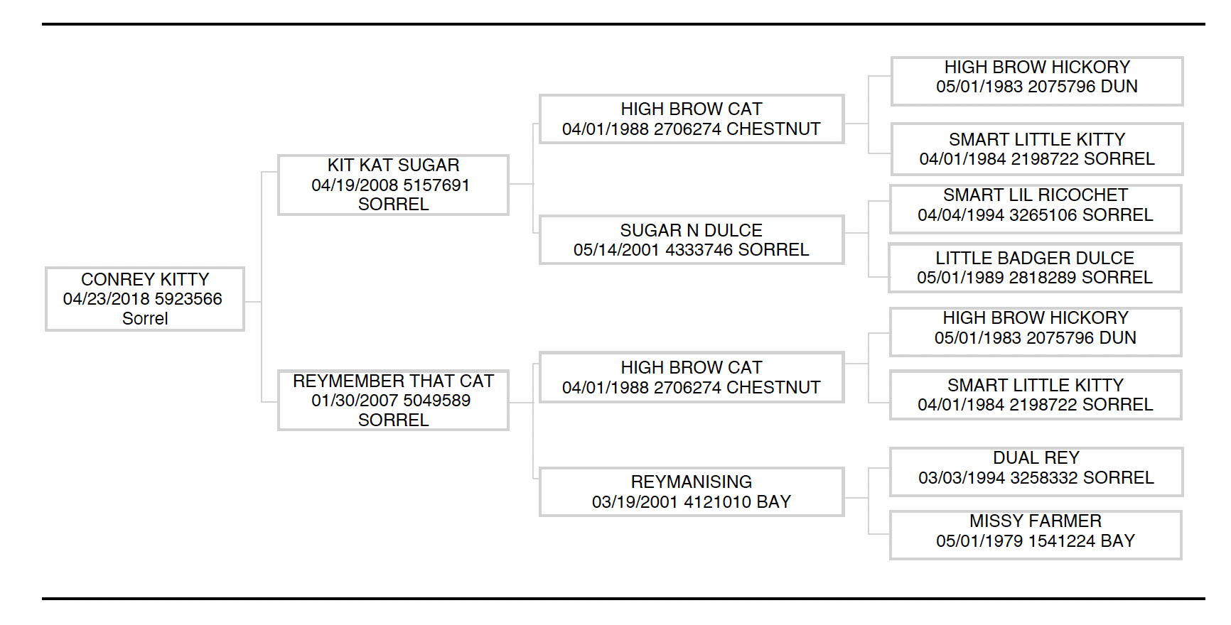 Four-generation pedigree chart for Conrey Kitty, a 2018 sorrel, showing High Brow Cat on both sides