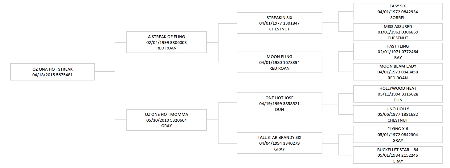 Pedigree chart for OZ ONA HOT STREAK, a sorrel horse born April 18, 2015, showing ancestry through multiple generations including sire A STREAK OF FLING and dam OZ ONE HOT MOMMA