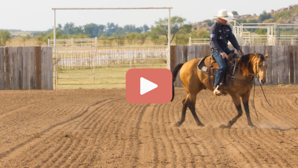 Miles Baker trotting young buckskin horse in outdoor arena