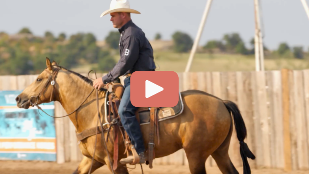 Miles Baker trotting a young buckskin horse who isn't paying attention and looking around