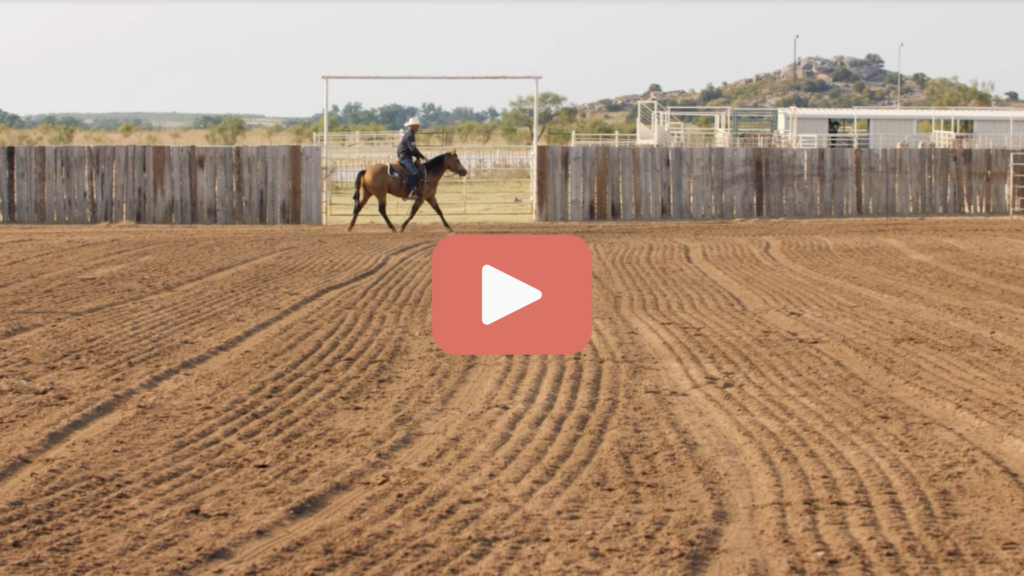 Cowboy in a white hat riding a buckskin horse along a wooden fence in a freshly groomed dirt arena