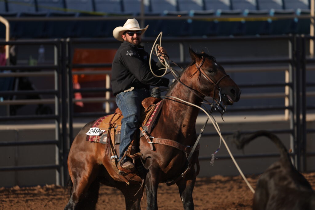 Cowboy on a brown horse holding a lasso in a rodeo arena with metal fencing and bleachers in background