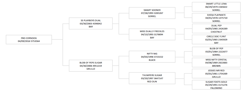 Three-generation pedigree chart for PBD Corndog, tracing sires and dams with birthdates, registration numbers and coat colors