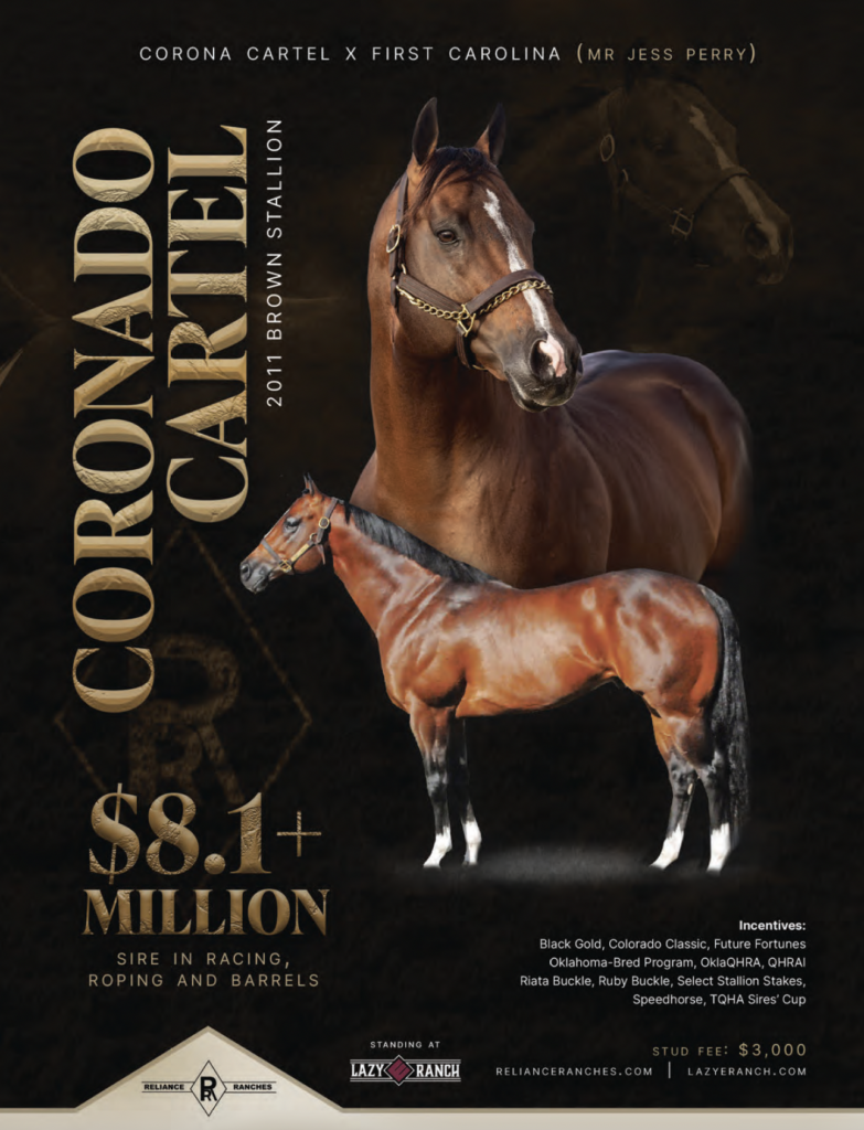 Coronado Cartel, a 2011 brown stallion, displayed with his foal against a dark background, advertising $8.1 million in stud fees at Lazy Y Ranch