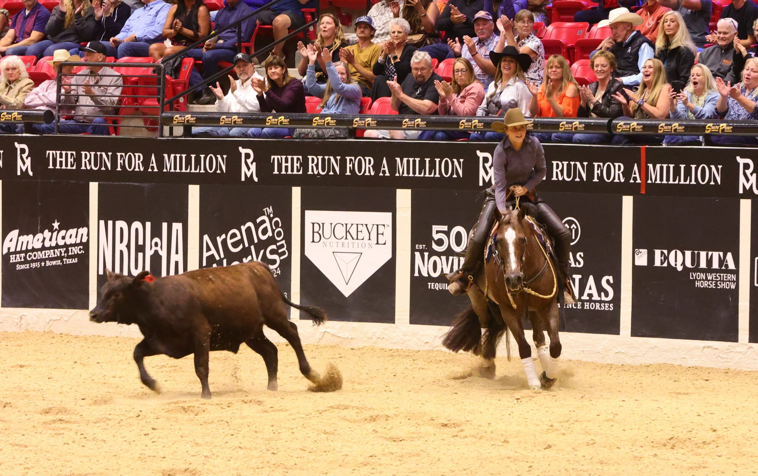 Rider on horseback competing in arena event at rodeo with "Run for a Million" signage visible along barrier and spectators in stands