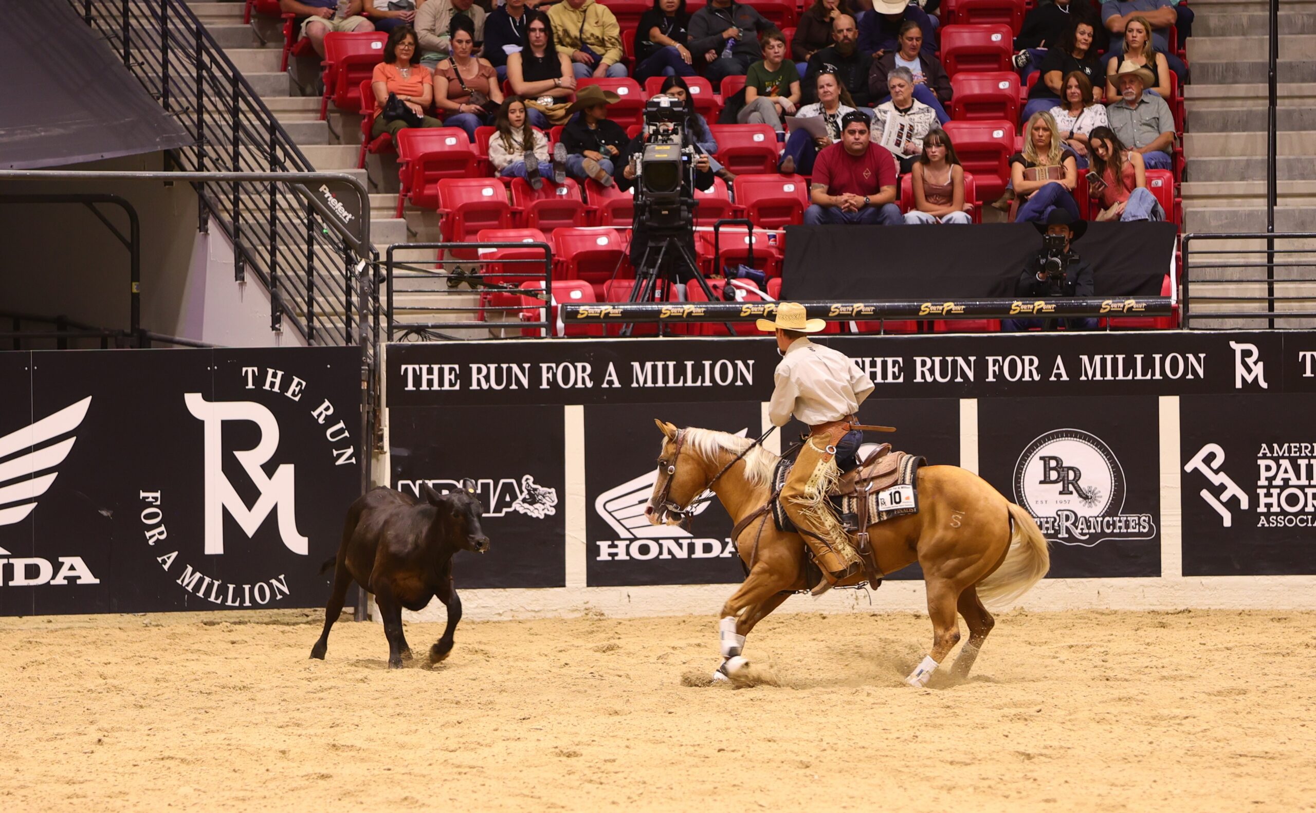Saddle bronc rider on bucking horse during "The Run for a Million" event, with spectators in red stadium seating behind