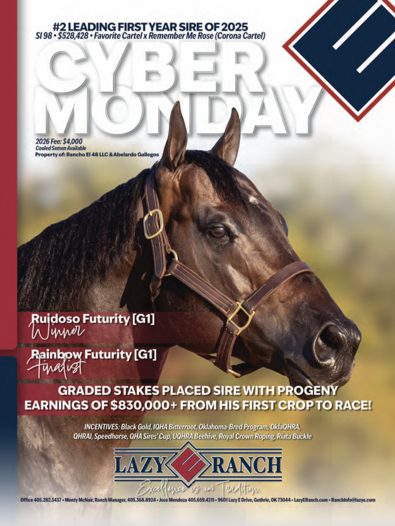 Cyber Monday advertisement for a stallion standing at Lazy Y Ranch, featuring a dark bay horse in a halter against a blurred pasture background