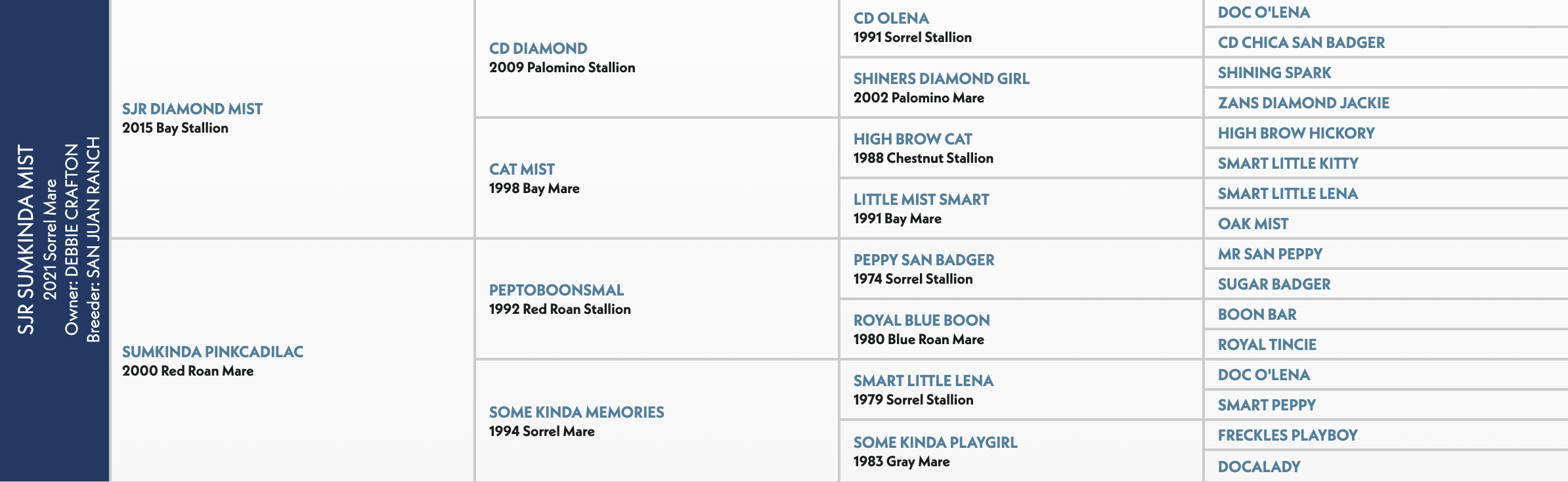 Five-generation pedigree chart for SJR Sumkinda Mist, a 2021 sorrel mare, listing sires and dams including CD Diamond and Peptoboonsmal