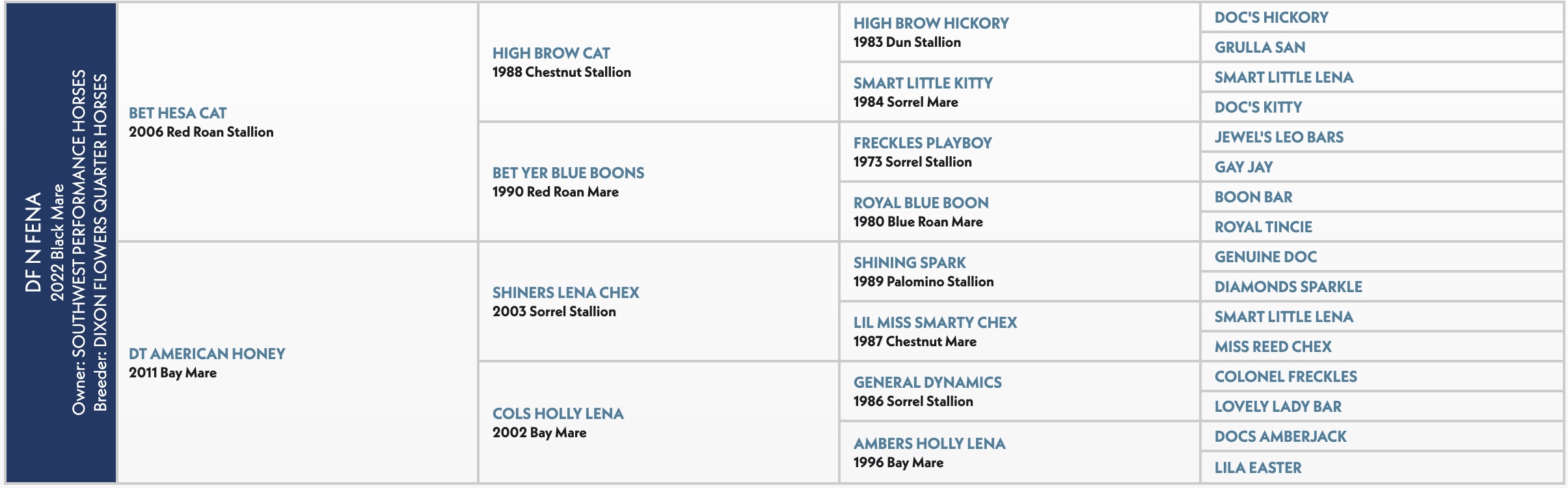 Five-generation pedigree chart for DF N Fena, a 2022 black mare by Bet Hesa Cat out of DT American Honey
