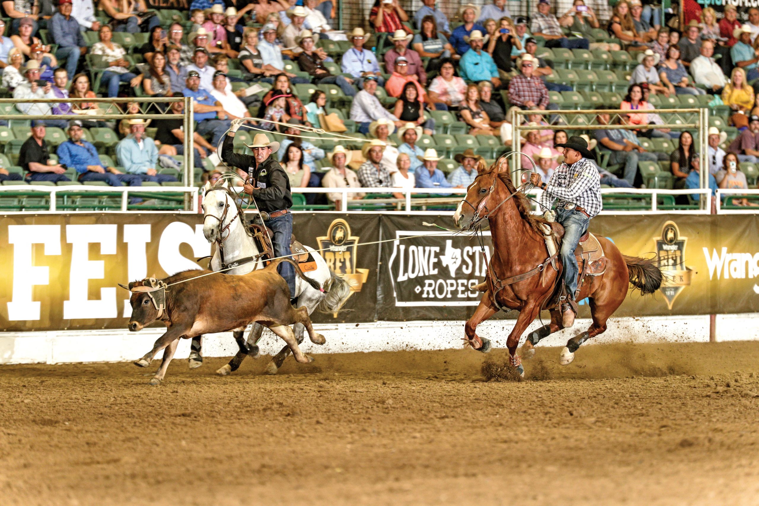 Two ropers on horseback work a steer during a team roping competition at a rodeo arena with spectators in the stands